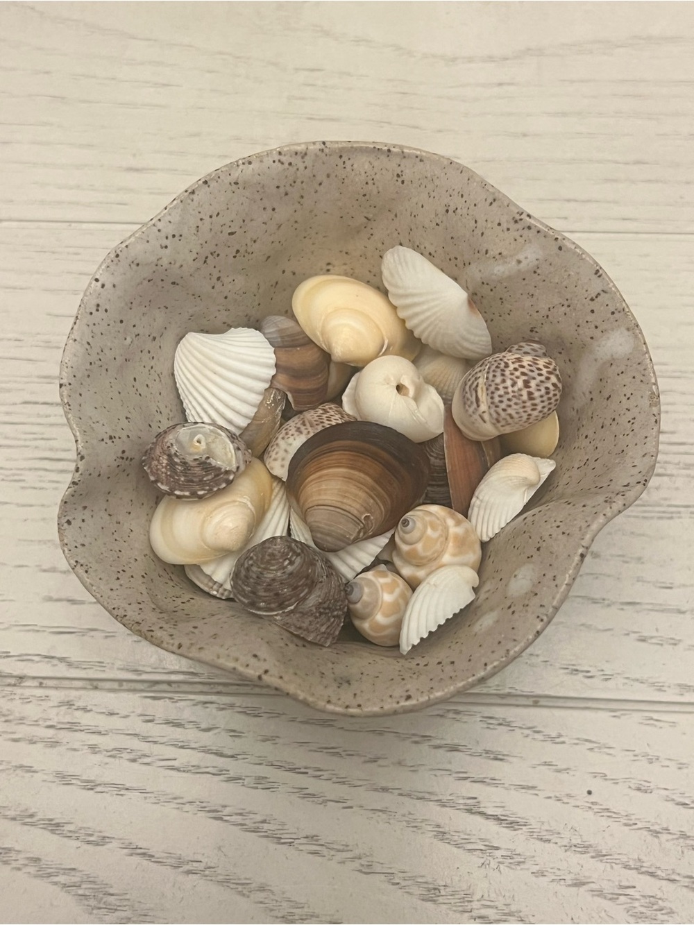 Vintage Handmade Decorative Ruffle Ceramic Bowl with Seashells